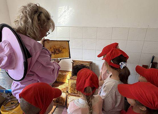 Grafika 34: 12.09.2025 Wizyta w pasiece P. Elżbiety Łukawskiej w Wicku – słodka przygoda naszych przedszkolaków!