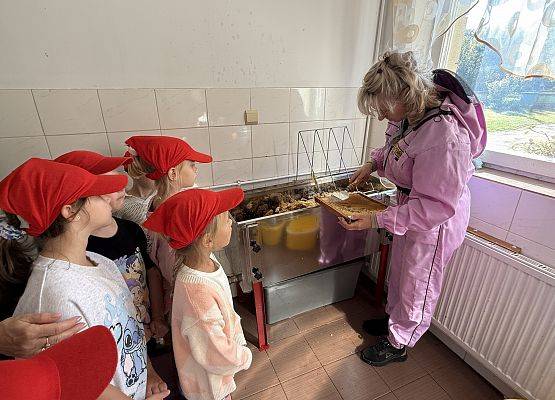 Grafika 38: 12.09.2025 Wizyta w pasiece P. Elżbiety Łukawskiej w Wicku – słodka przygoda naszych przedszkolaków!