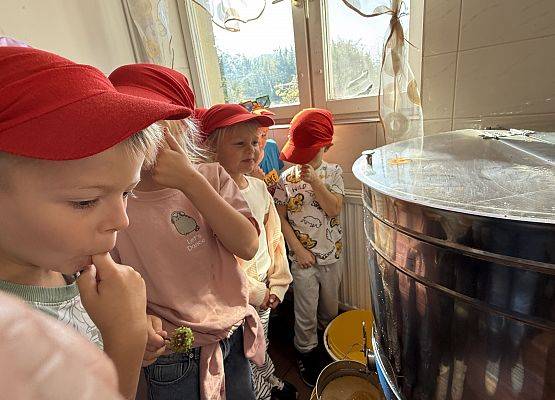 Grafika 49: 12.09.2025 Wizyta w pasiece P. Elżbiety Łukawskiej w Wicku – słodka przygoda naszych przedszkolaków!