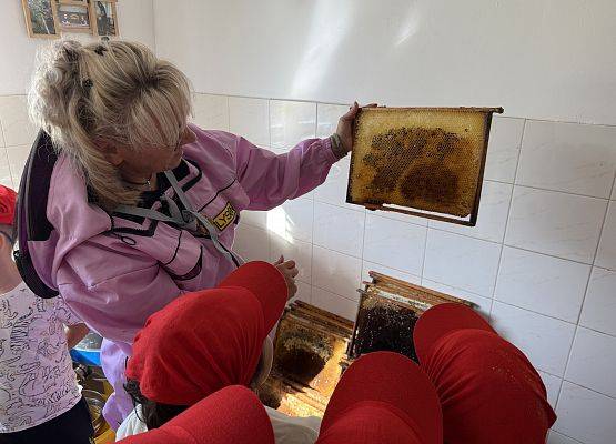 Grafika 50: 12.09.2025 Wizyta w pasiece P. Elżbiety Łukawskiej w Wicku – słodka przygoda naszych przedszkolaków!