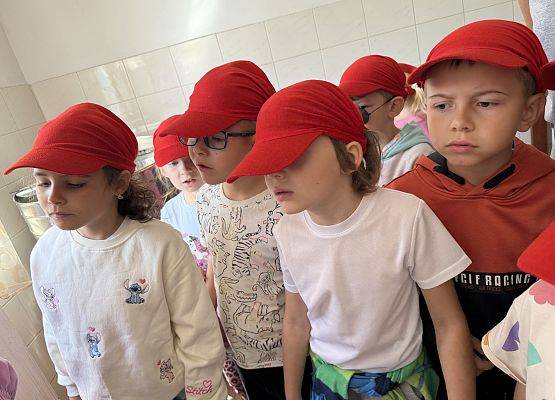 Grafika 52: 12.09.2025 Wizyta w pasiece P. Elżbiety Łukawskiej w Wicku – słodka przygoda naszych przedszkolaków!