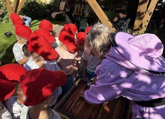 Grafika 66: 12.09.2025 Wizyta w pasiece P. Elżbiety Łukawskiej w Wicku – słodka przygoda naszych przedszkolaków!