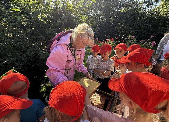 Grafika 68: 12.09.2025 Wizyta w pasiece P. Elżbiety Łukawskiej w Wicku – słodka przygoda naszych przedszkolaków!