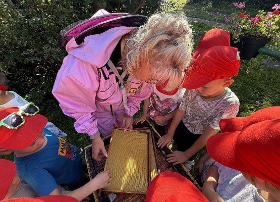 Grafika 70: 12.09.2025 Wizyta w pasiece P. Elżbiety Łukawskiej w Wicku – słodka przygoda naszych przedszkolaków!