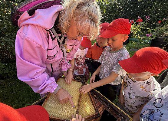 Grafika 71: 12.09.2025 Wizyta w pasiece P. Elżbiety Łukawskiej w Wicku – słodka przygoda naszych przedszkolaków!