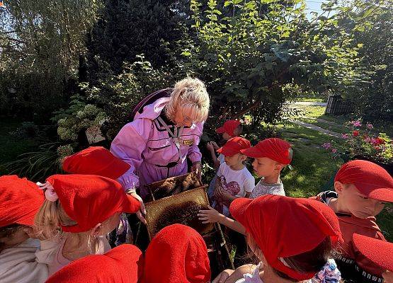 Grafika 74: 12.09.2025 Wizyta w pasiece P. Elżbiety Łukawskiej w Wicku – słodka przygoda naszych przedszkolaków!