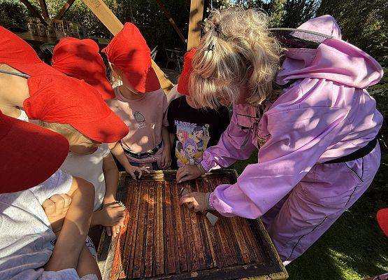 Grafika 76: 12.09.2025 Wizyta w pasiece P. Elżbiety Łukawskiej w Wicku – słodka przygoda naszych przedszkolaków!