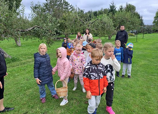 Grafika 1: Wycieczka do sadu!