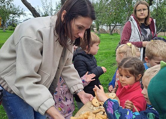 Grafika 6: Wycieczka do sadu!