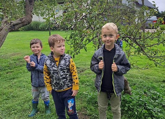 Grafika 10: Wycieczka do sadu!