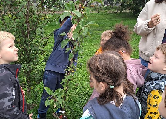 Grafika 16: Wycieczka do sadu!