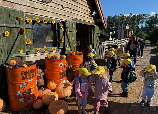 Grafika 8: 24.09.2025 Wycieczka na Farmę Alexa gr I