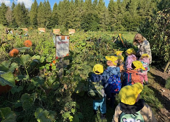 Grafika 12: 24.09.2025 Wycieczka na Farmę Alexa gr I