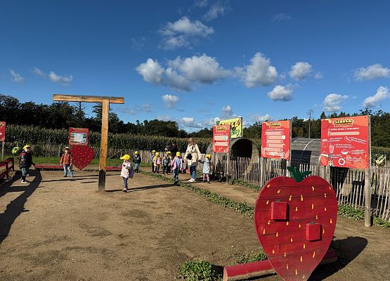 Grafika 29: 24.09.2025 Wycieczka na Farmę Alexa gr I