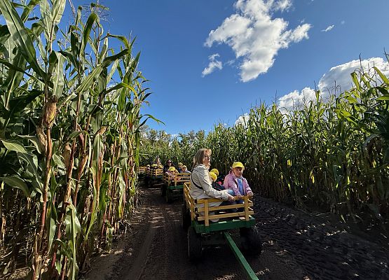Grafika 45: 24.09.2025 Wycieczka na Farmę Alexa gr I