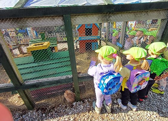 Grafika 2: 24.09.2025 Wycieczka na Farmę Alexa gr II