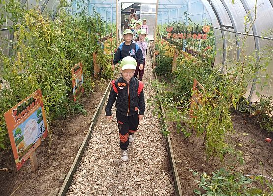 Grafika 3: 24.09.2025 Wycieczka na Farmę Alexa gr II