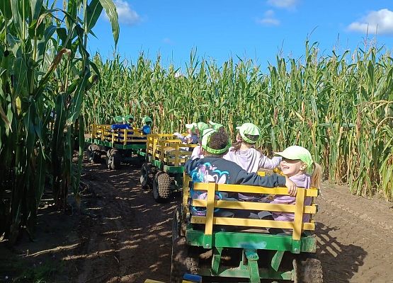 Grafika 10: 24.09.2025 Wycieczka na Farmę Alexa gr II