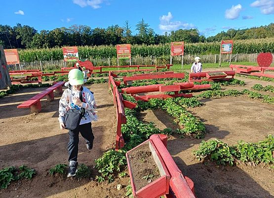 Grafika 21: 24.09.2025 Wycieczka na Farmę Alexa gr II
