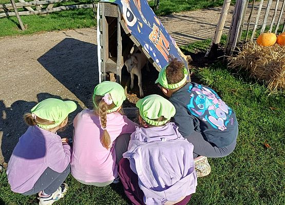 Grafika 41: 24.09.2025 Wycieczka na Farmę Alexa gr II