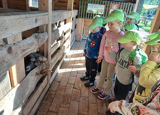 Grafika 48: 24.09.2025 Wycieczka na Farmę Alexa gr II