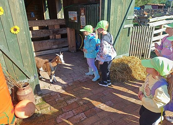Grafika 53: 24.09.2025 Wycieczka na Farmę Alexa gr II