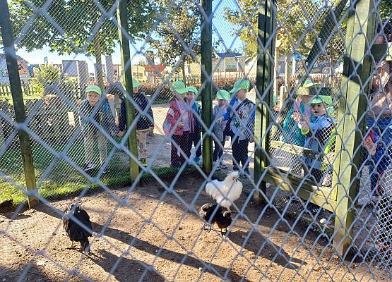 Grafika 70: 24.09.2025 Wycieczka na Farmę Alexa gr II