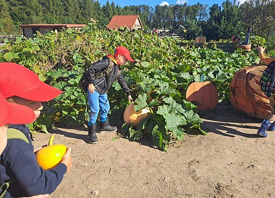 Grafika 13: 24.09.2025 Wycieczka na Farmę Alexa gr III