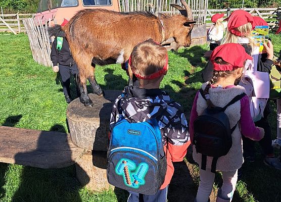 Grafika 102: 24.09.2025 Wycieczka na Farmę Alexa gr III