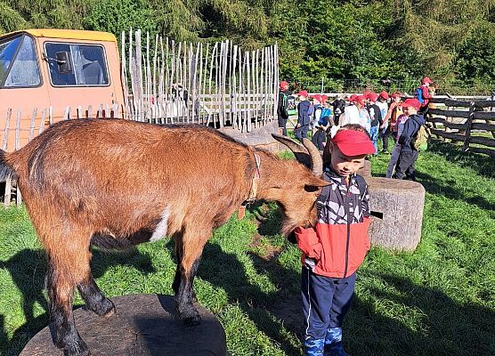 Grafika 103: 24.09.2025 Wycieczka na Farmę Alexa gr III