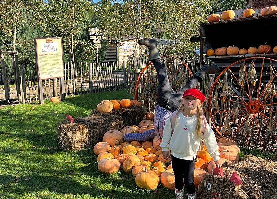 Grafika 105: 24.09.2025 Wycieczka na Farmę Alexa gr III