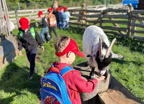 Grafika 110: 24.09.2025 Wycieczka na Farmę Alexa gr III