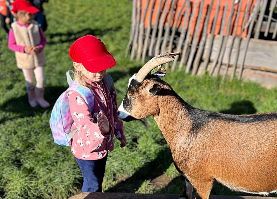 Grafika 112: 24.09.2025 Wycieczka na Farmę Alexa gr III