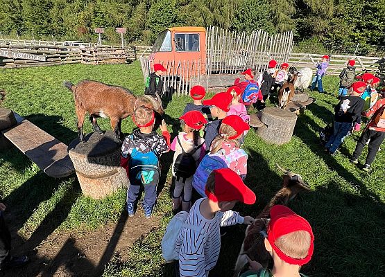 Grafika 117: 24.09.2025 Wycieczka na Farmę Alexa gr III