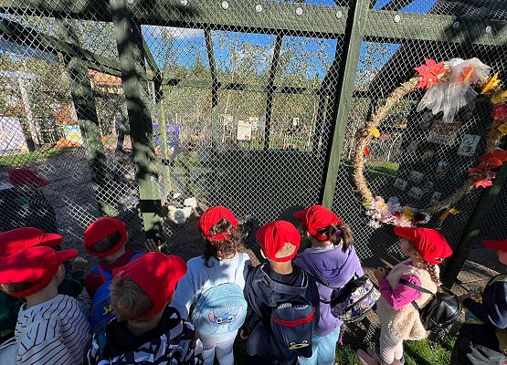 Grafika 123: 24.09.2025 Wycieczka na Farmę Alexa gr III