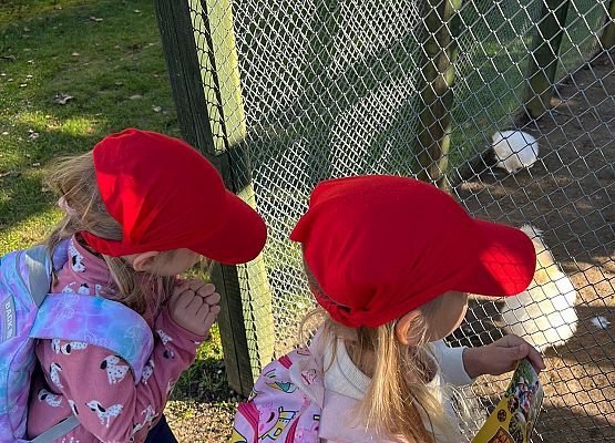 Grafika 127: 24.09.2025 Wycieczka na Farmę Alexa gr III