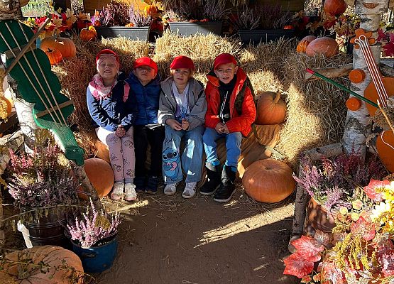 Grafika 137: 24.09.2025 Wycieczka na Farmę Alexa gr III