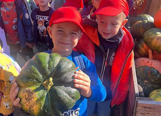 Grafika 136: 24.09.2025 Wycieczka na Farmę Alexa gr III