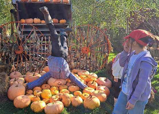 Grafika 152: 24.09.2025 Wycieczka na Farmę Alexa gr III