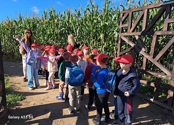 Grafika 156: 24.09.2025 Wycieczka na Farmę Alexa gr III