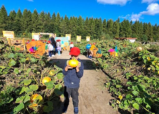 Grafika 195: 24.09.2025 Wycieczka na Farmę Alexa gr III