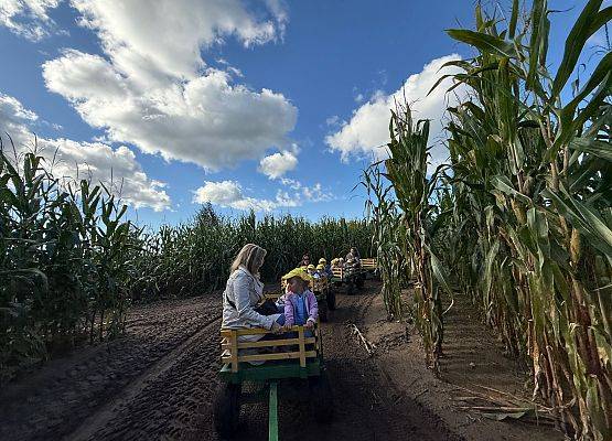 Grafika 43: 24.09.2025 Wycieczka na Farmę Alexa gr I