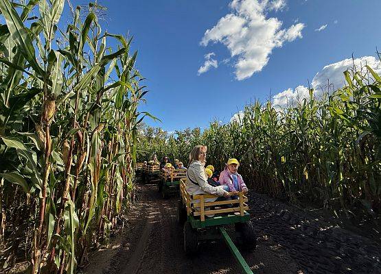 Grafika 45: 24.09.2025 Wycieczka na Farmę Alexa gr I