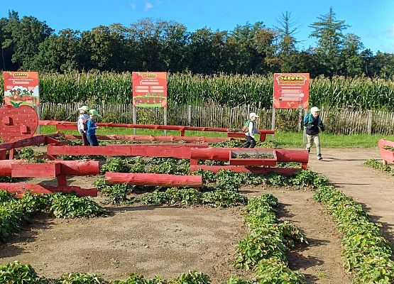 Grafika 24: 24.09.2025 Wycieczka na Farmę Alexa gr II
