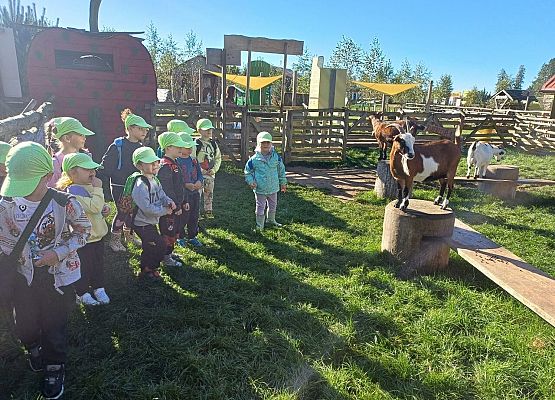 Grafika 46: 24.09.2025 Wycieczka na Farmę Alexa gr II