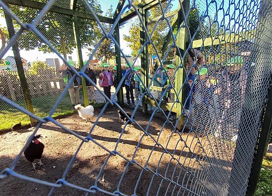 Grafika 72: 24.09.2025 Wycieczka na Farmę Alexa gr II