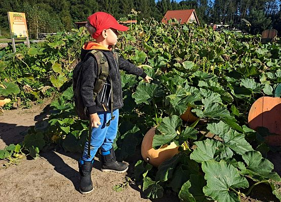 Grafika 12: 24.09.2025 Wycieczka na Farmę Alexa gr III
