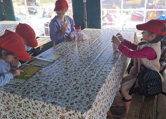 Grafika 31: 24.09.2025 Wycieczka na Farmę Alexa gr III