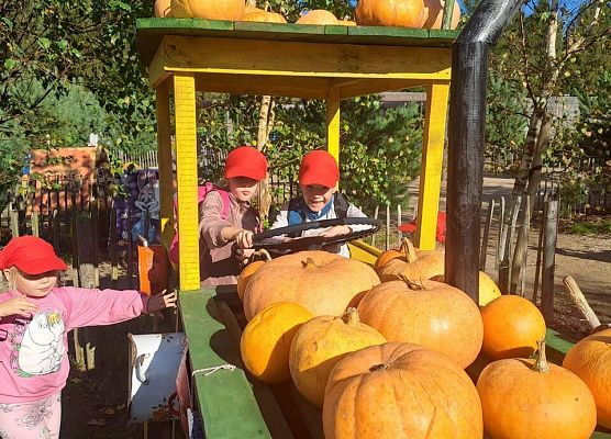 Grafika 48: 24.09.2025 Wycieczka na Farmę Alexa gr III