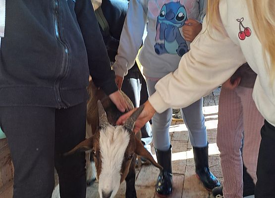 Grafika 54: 24.09.2025 Wycieczka na Farmę Alexa gr III